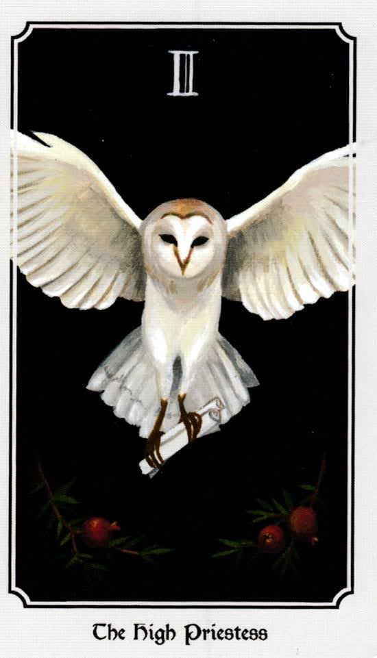 Anima Mundi Tarot